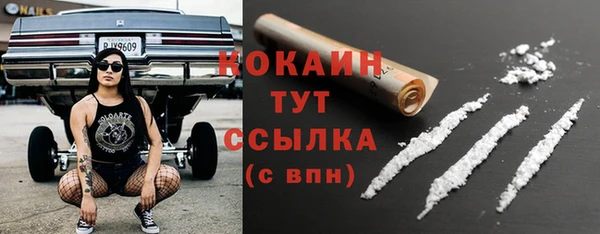 амф Аркадак