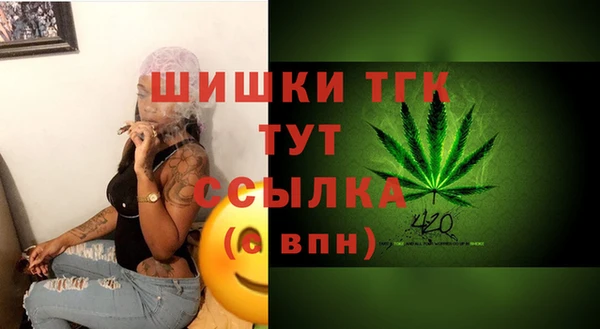 амф Аркадак