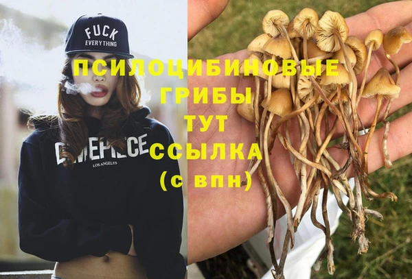 героин Армянск
