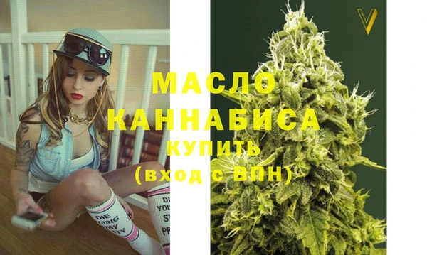 PSILOCYBIN Ельня
