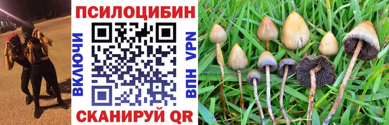 Псилоцибиновые грибы мухоморы  кракен зеркало  Белорецк 